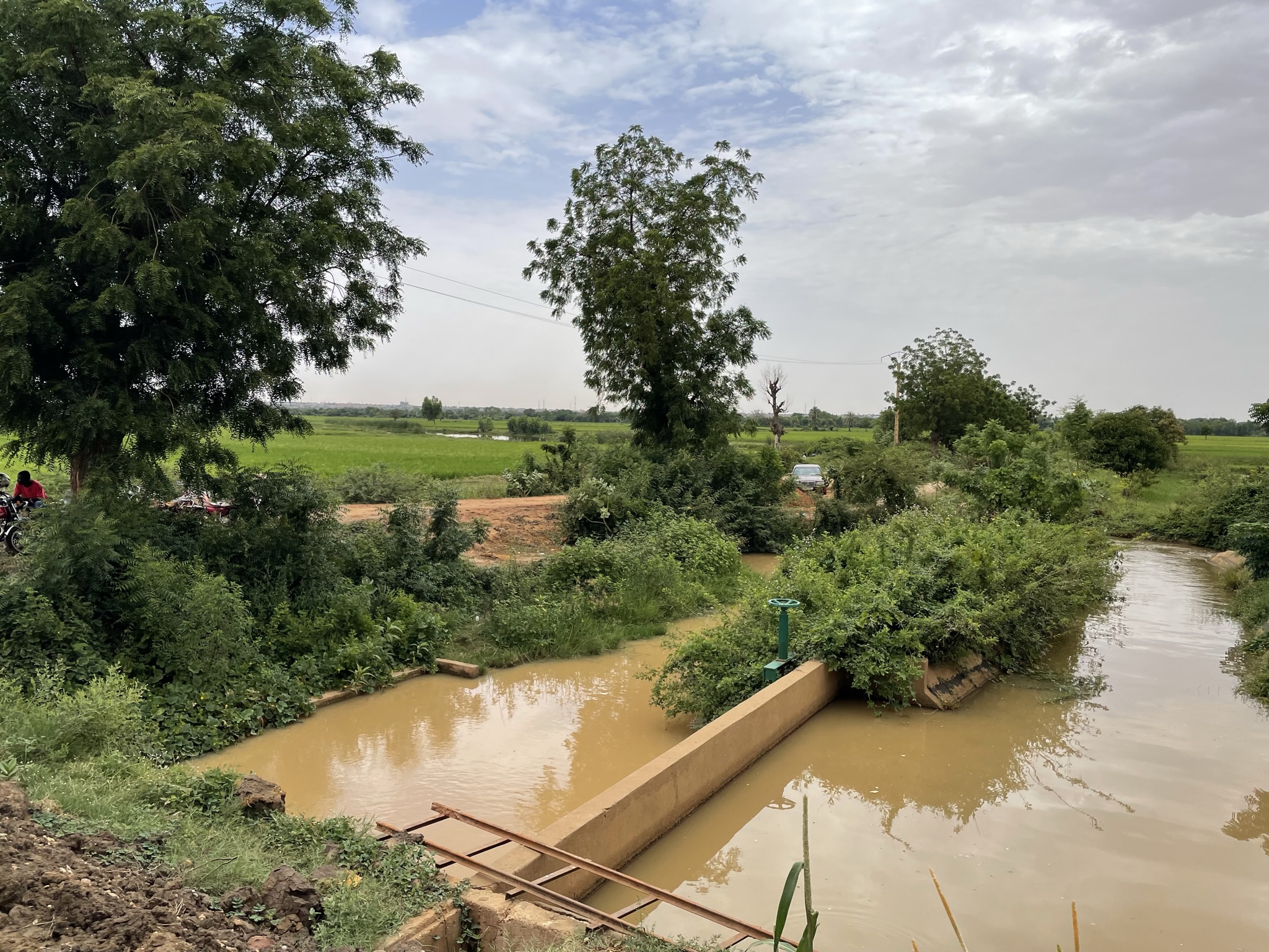 Brown water in greenery with trees and bushes under a cloudy sky.