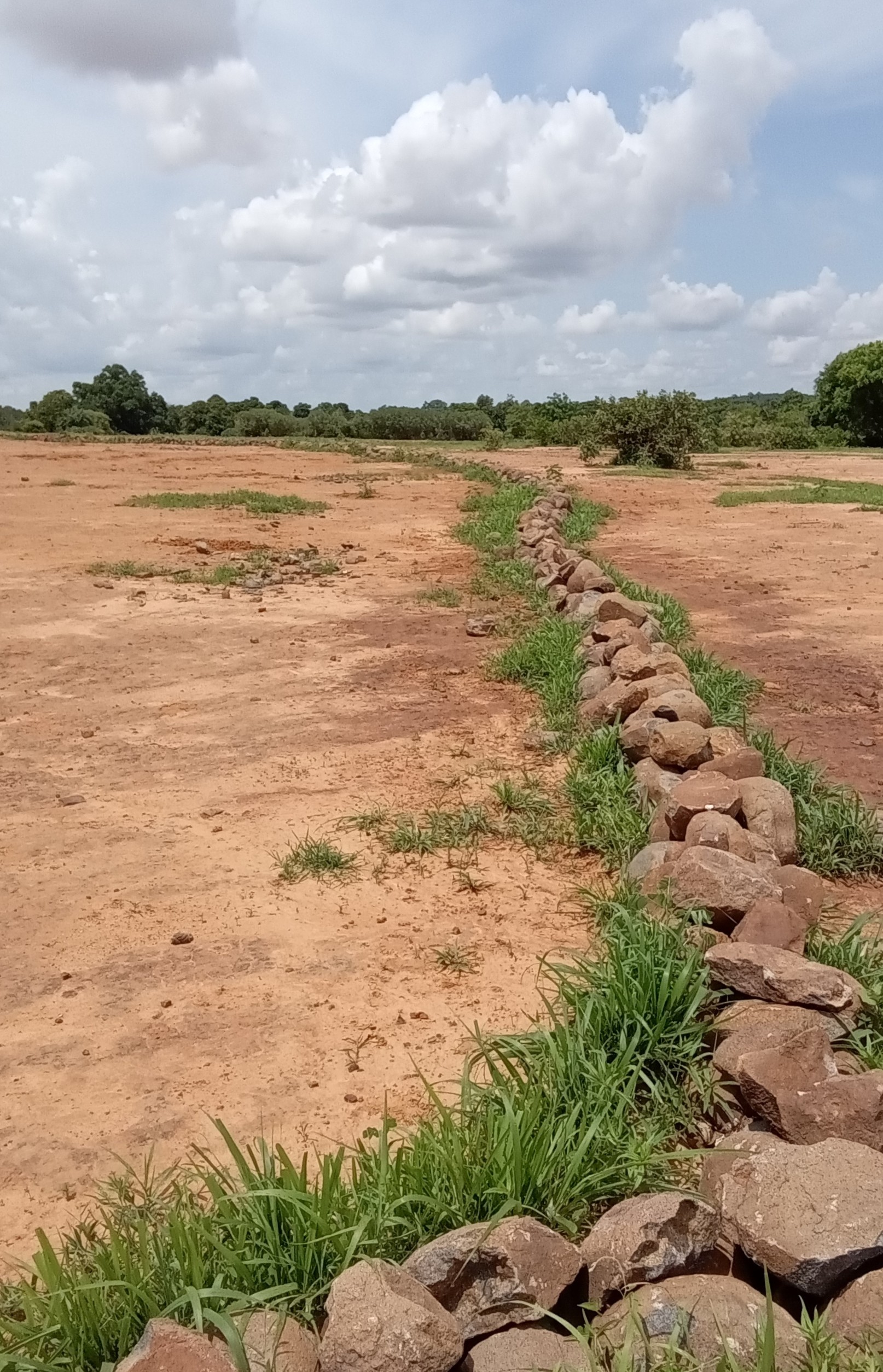 Contour bunds on arid ground with cloudy sky in the back.