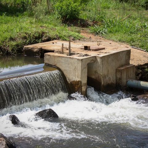 River with small dam and green banks.