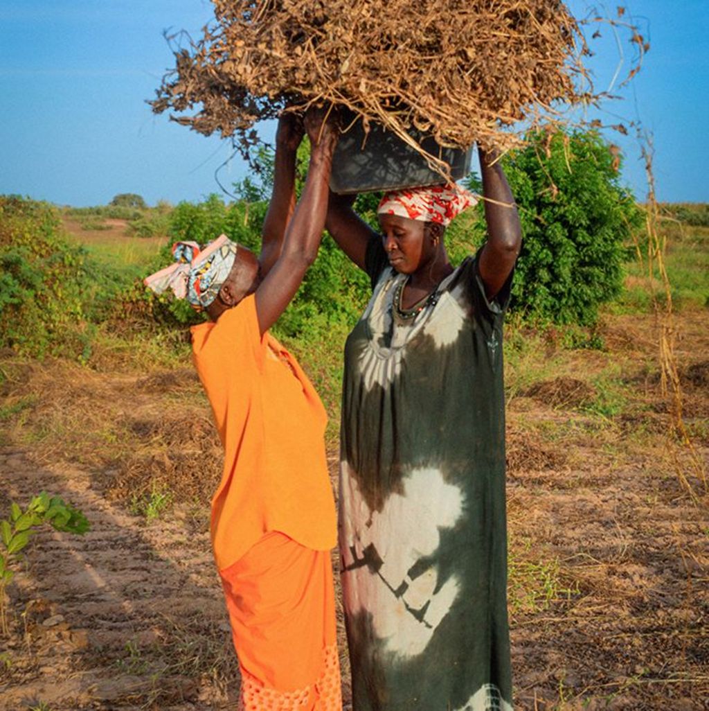 Two Senegalese women working in the fields.