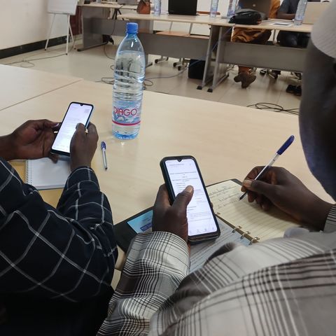 Participants working with their smartphones during a deigitalisation training.