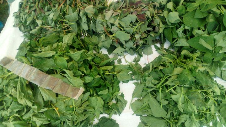 Green vegetables on a table.