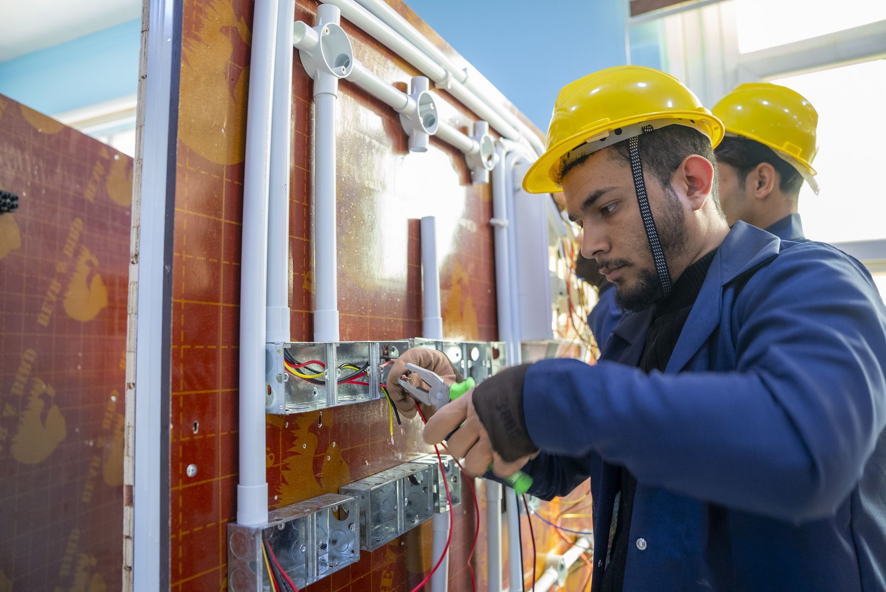 WHAT IS ECONOMIC SKILLS visual data 8