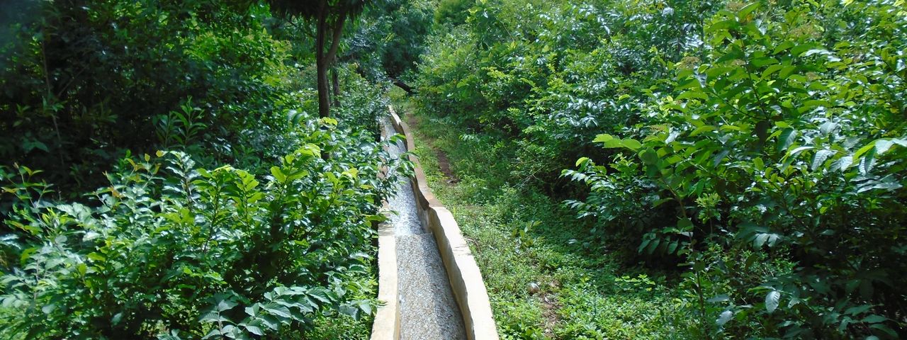 Irrigation canal in the greenery.