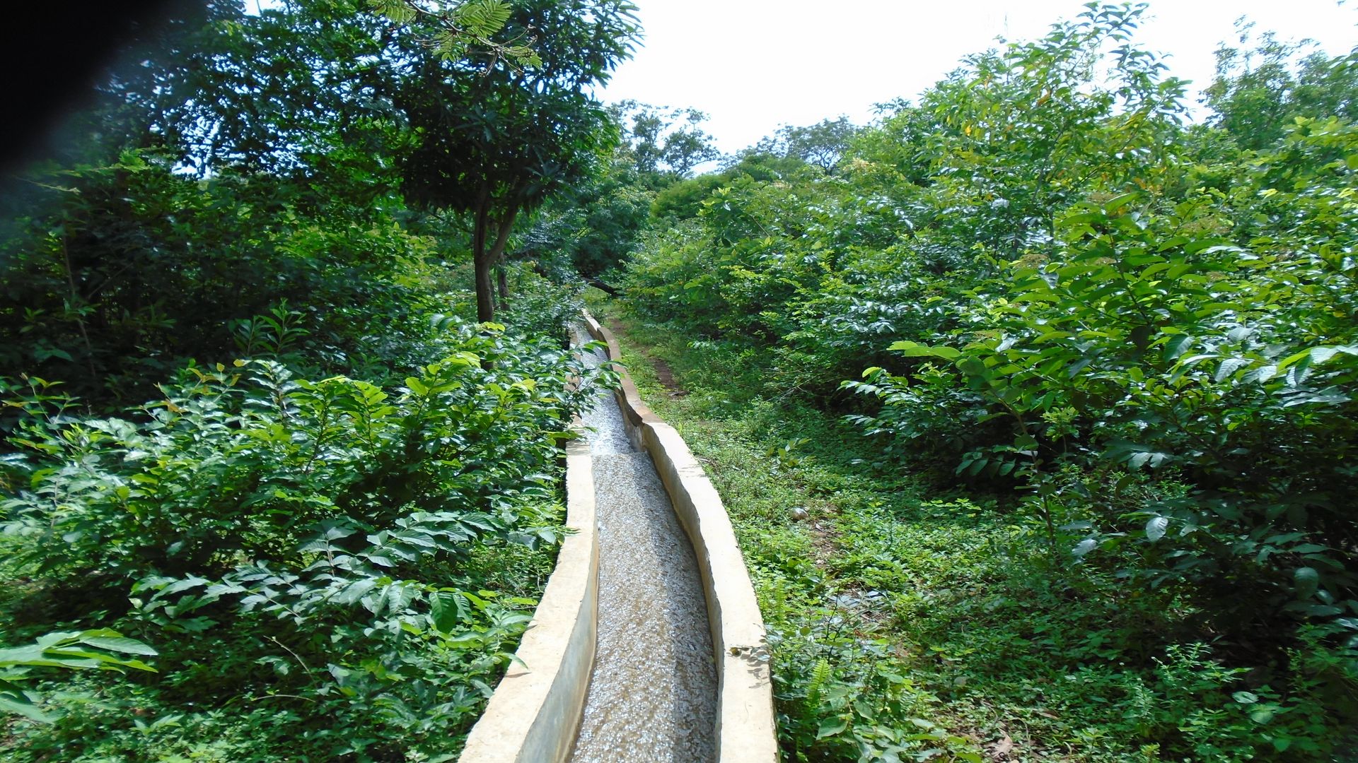 Irrigation canal in the greenery.
