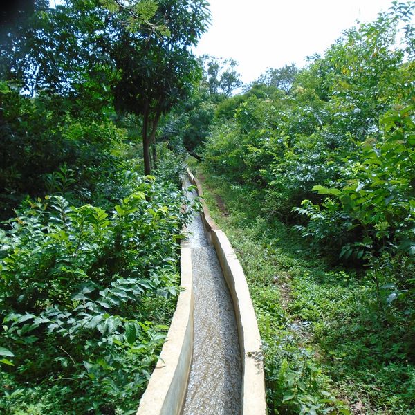 Irrigation canal in the greenery.