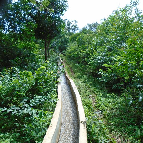 Irrigation canal in the greenery.