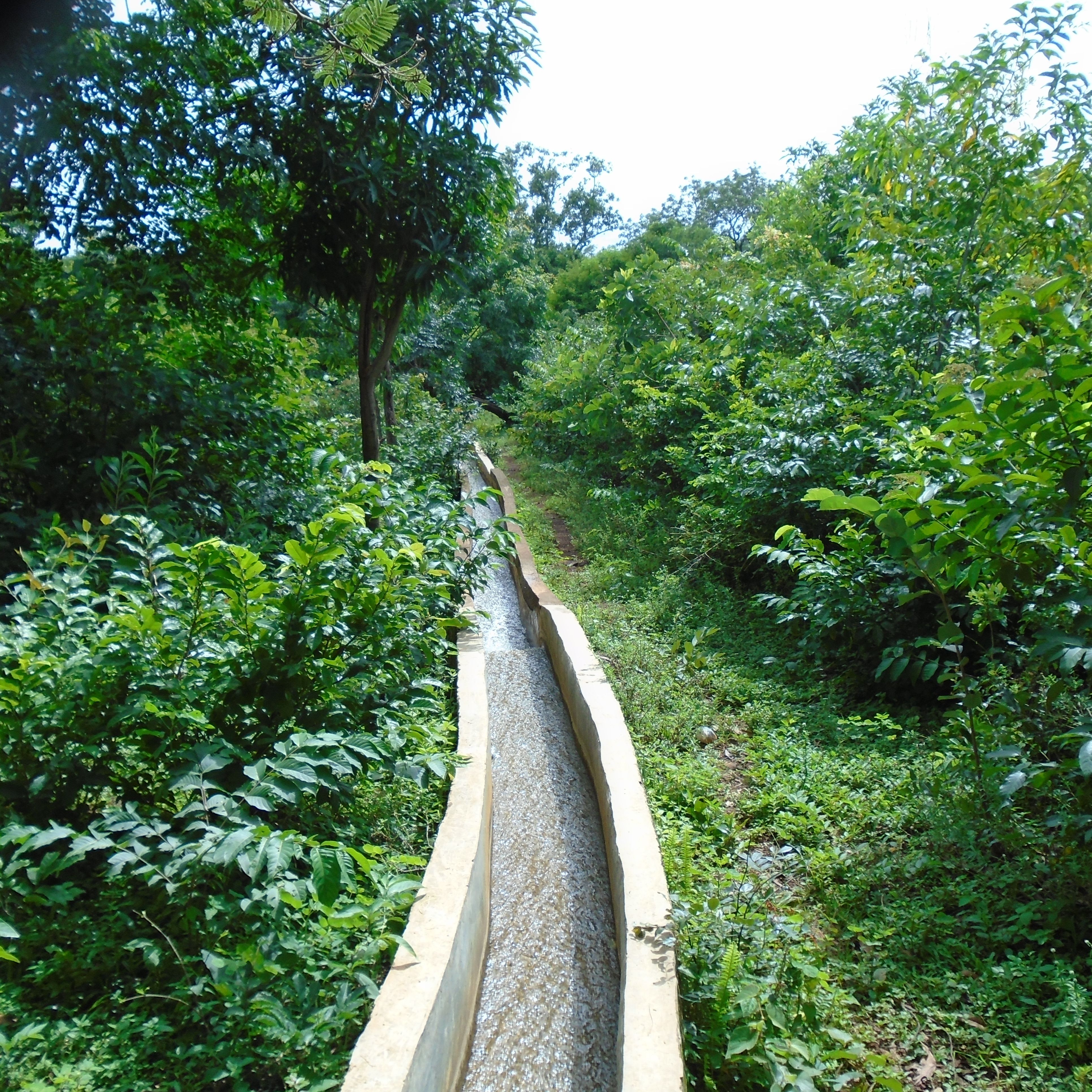 Irrigation canal in the greenery.