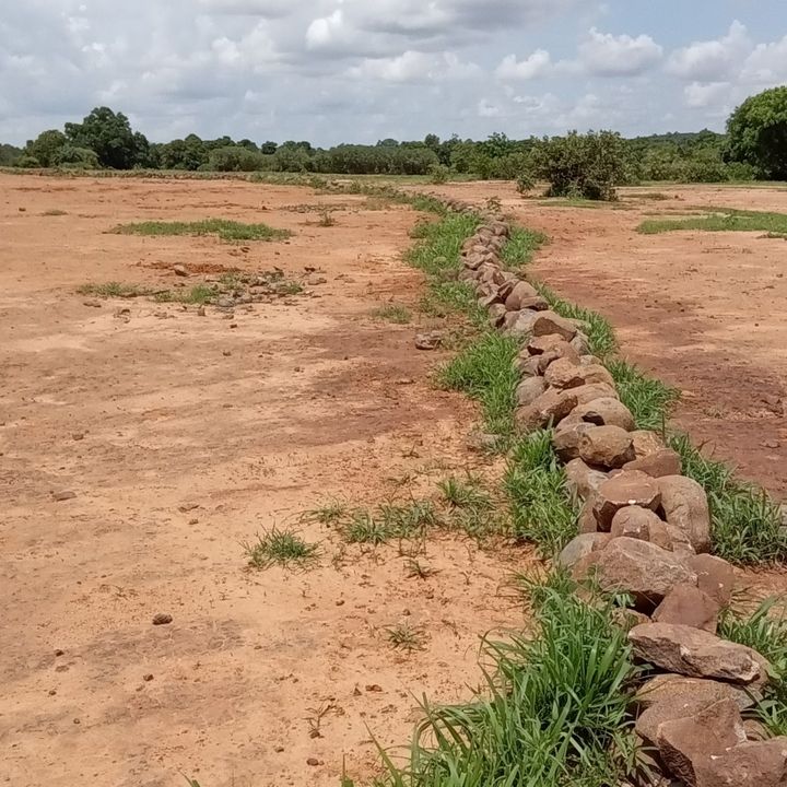 Contour bunds on arid ground with cloudy sky in the back.